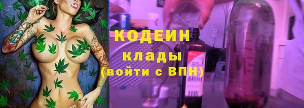 прущие грибы Новокубанск