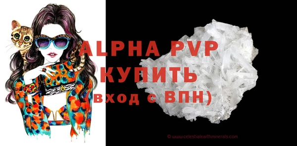 прущие грибы Новокубанск