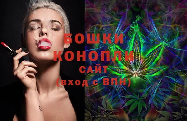 прущие грибы Новокубанск