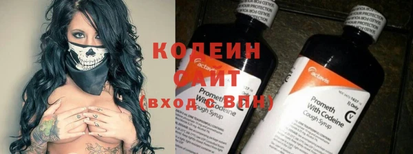 прущие грибы Новозыбков