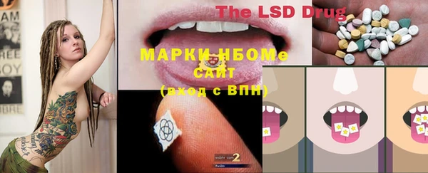 прущие грибы Новокубанск