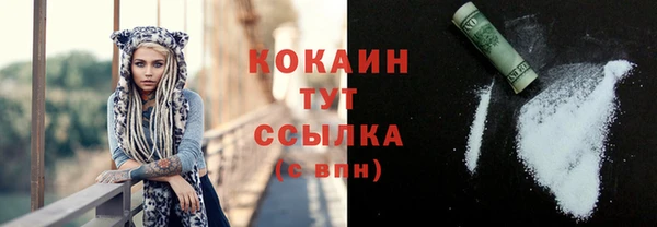 прущие грибы Новокубанск