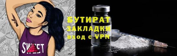 прущие грибы Новозыбков