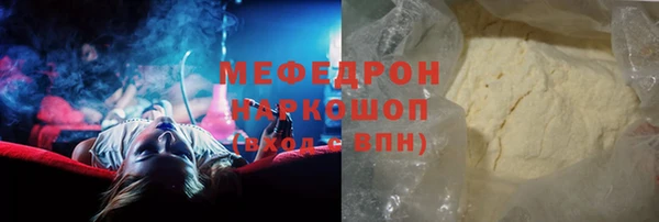 прущие грибы Новозыбков