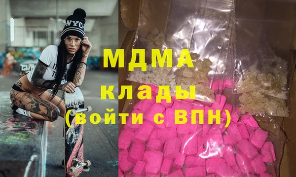 прущие грибы Новозыбков