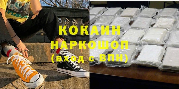 прущие грибы Новозыбков