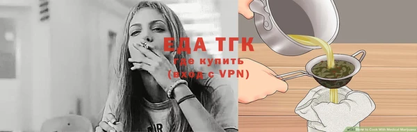 прущие грибы Новозыбков