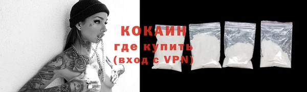 прущие грибы Новозыбков