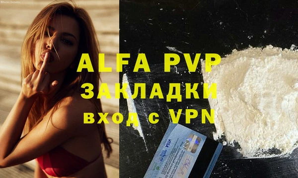 прущие грибы Новозыбков