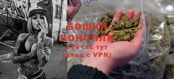 прущие грибы Новокубанск