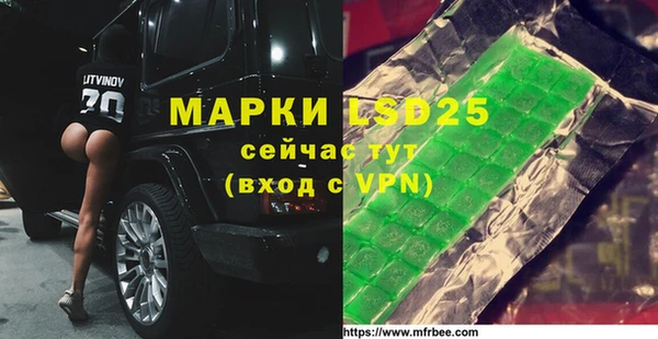 прущие грибы Новозыбков