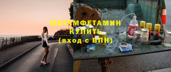 прущие грибы Новозыбков