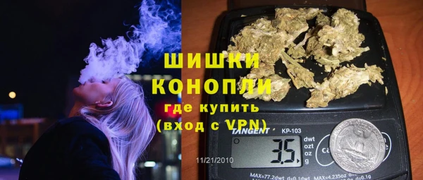 прущие грибы Новокубанск