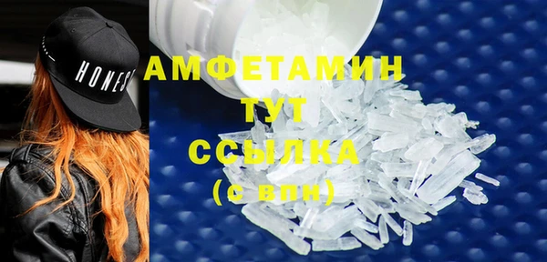 прущие грибы Новозыбков