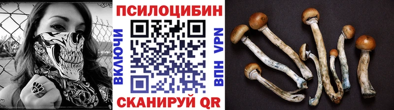 Псилоцибиновые грибы GOLDEN TEACHER Печоры
